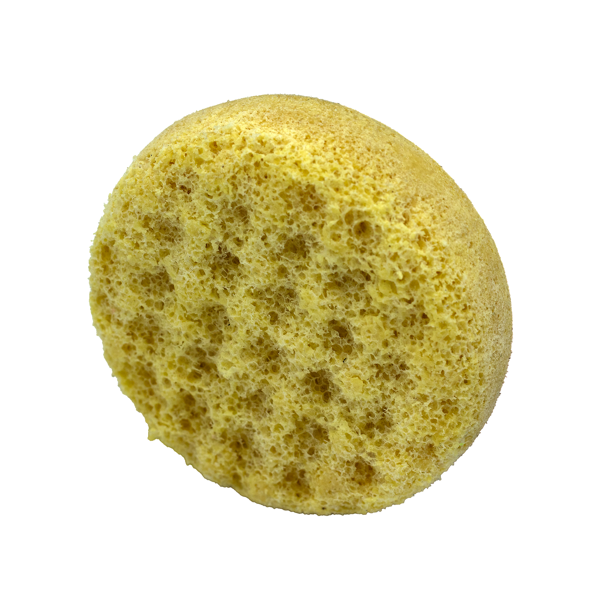 Gelato Vanille und Tonka Bohne