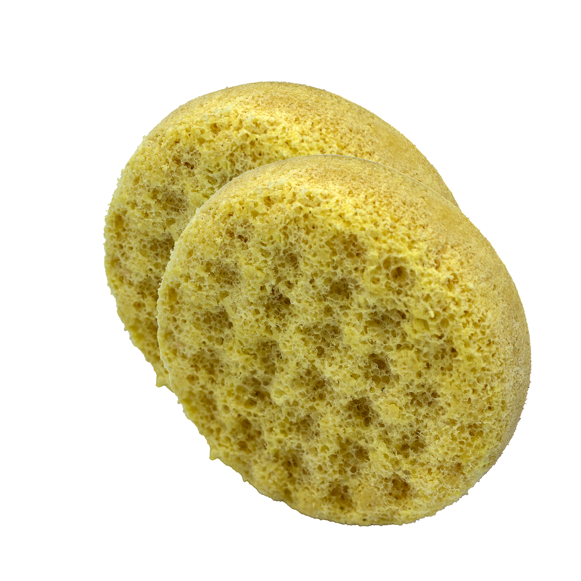 Gelato Vanille und Tonka Bohne