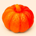 Pumpkin Kiss Seife - Pflanzliche Seife aus Düsseldorf 80g