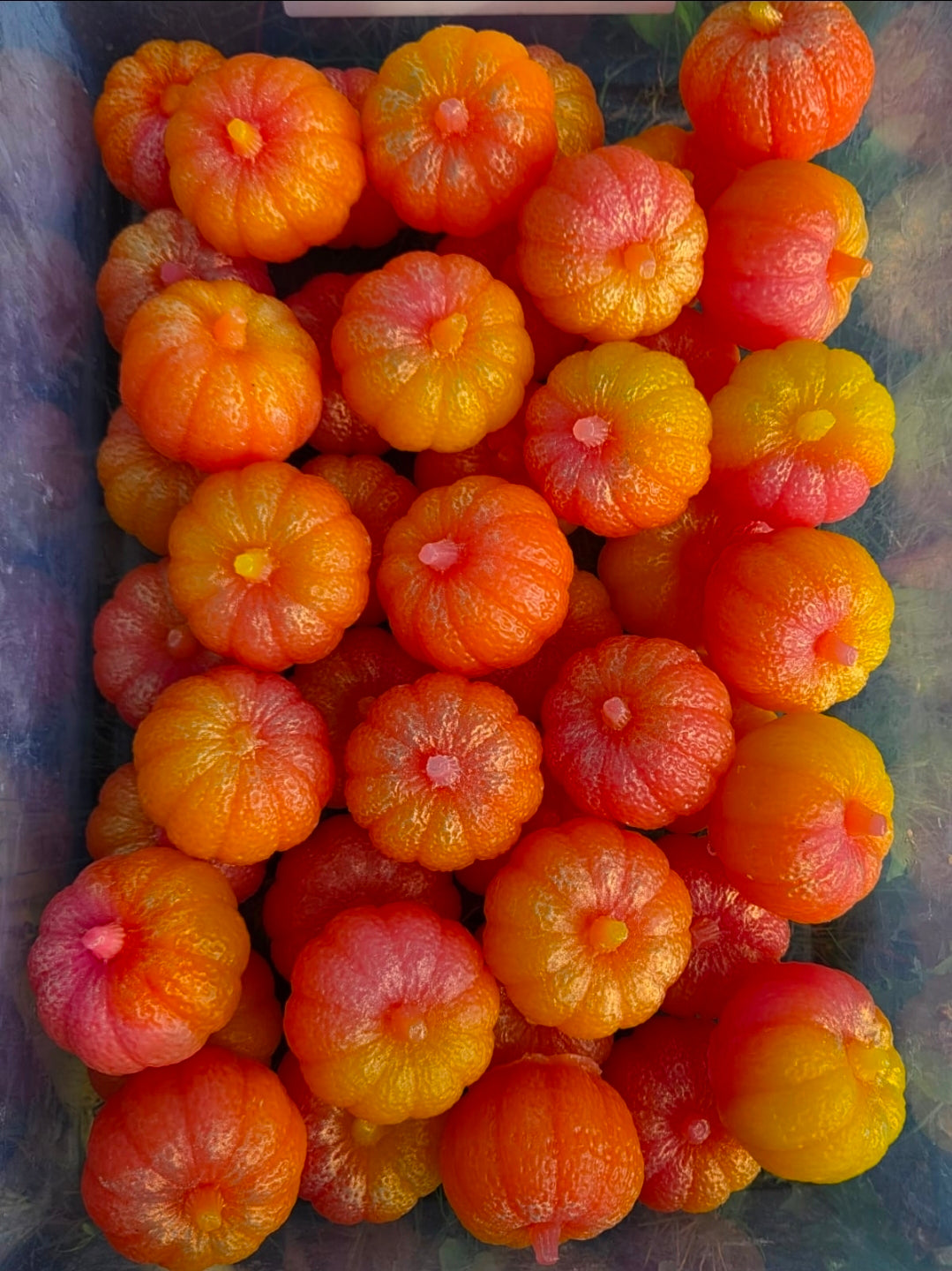 Pumpkin Kiss Seife - Pflanzliche Seife aus Düsseldorf 80g